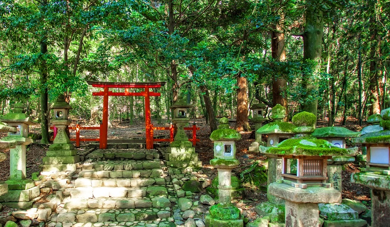 15.HIS_JP_NARA_Stone lanterns torii gate kasugataisha_AST.jpg