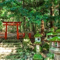 15.HIS JP NARA Stone lanterns torii gate kasugataisha AST