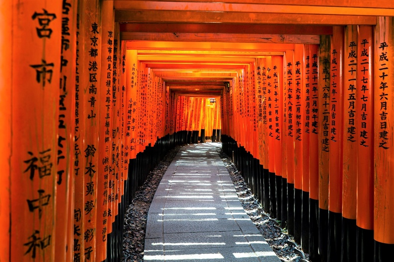 10-HIS_JP_KYO_FUSHIMI INARI_GUN.jpg